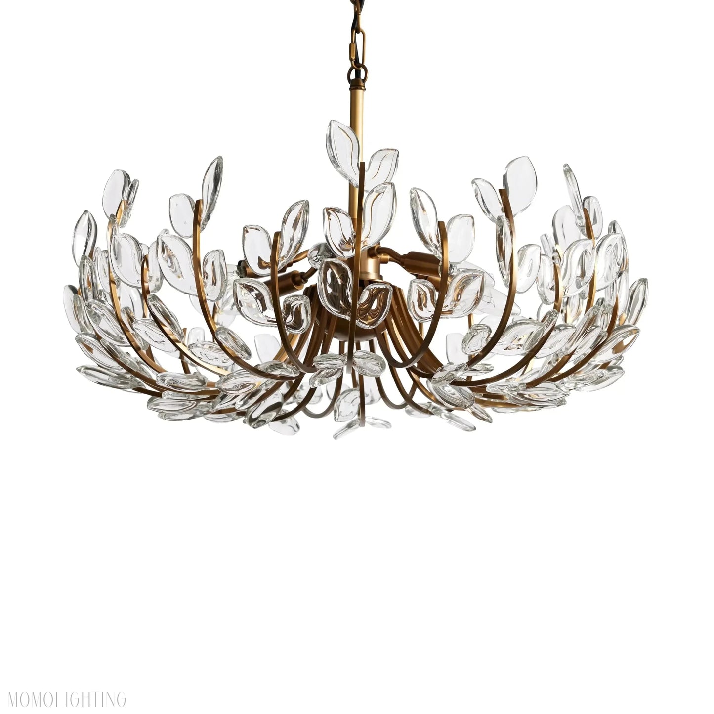Adela 6 Light Chandelier 26"-Nobipets