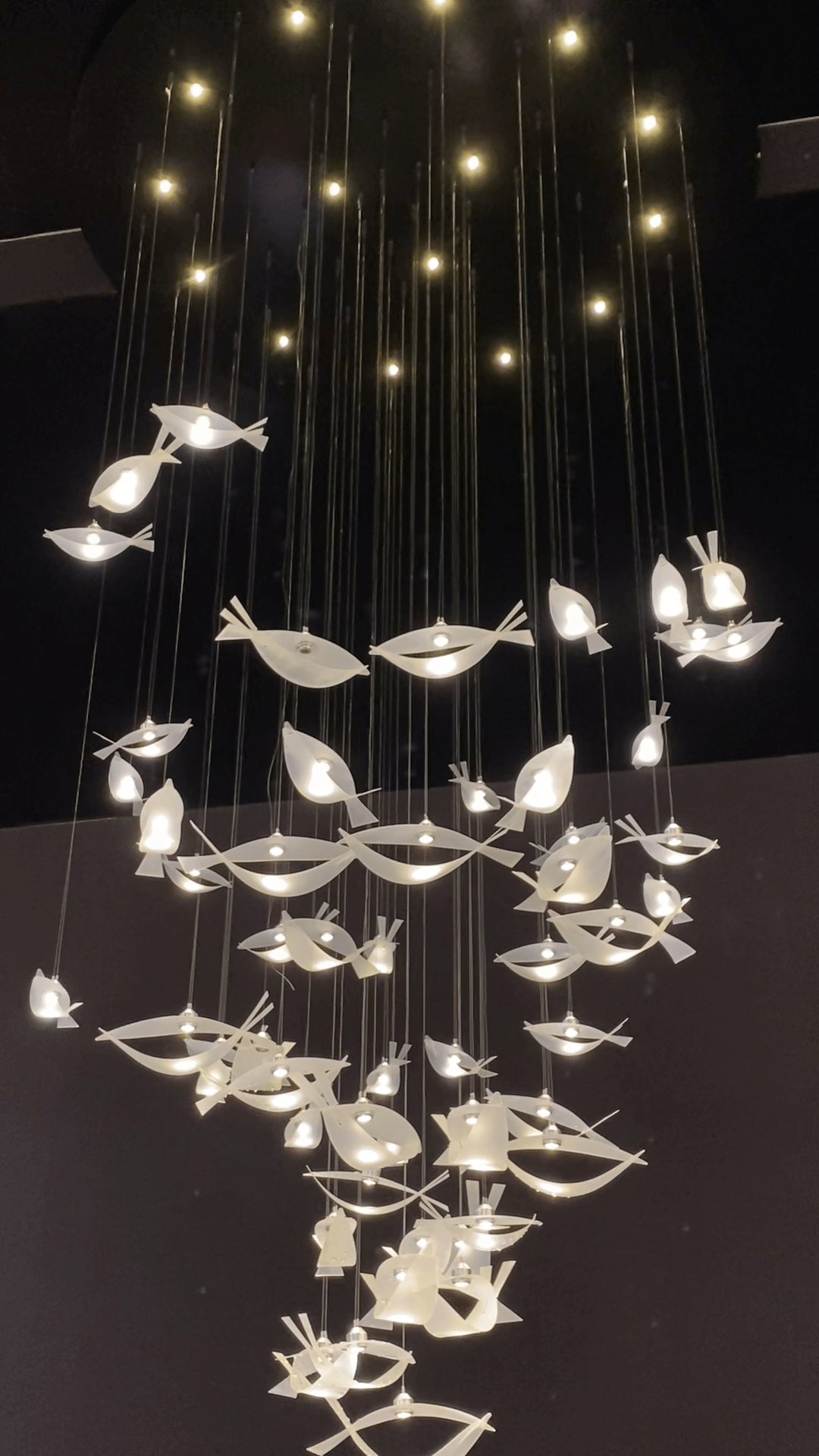 Modern Floating Acrylic Fish Chandelier for Staircase/Foyer/Living Room-Nobipets