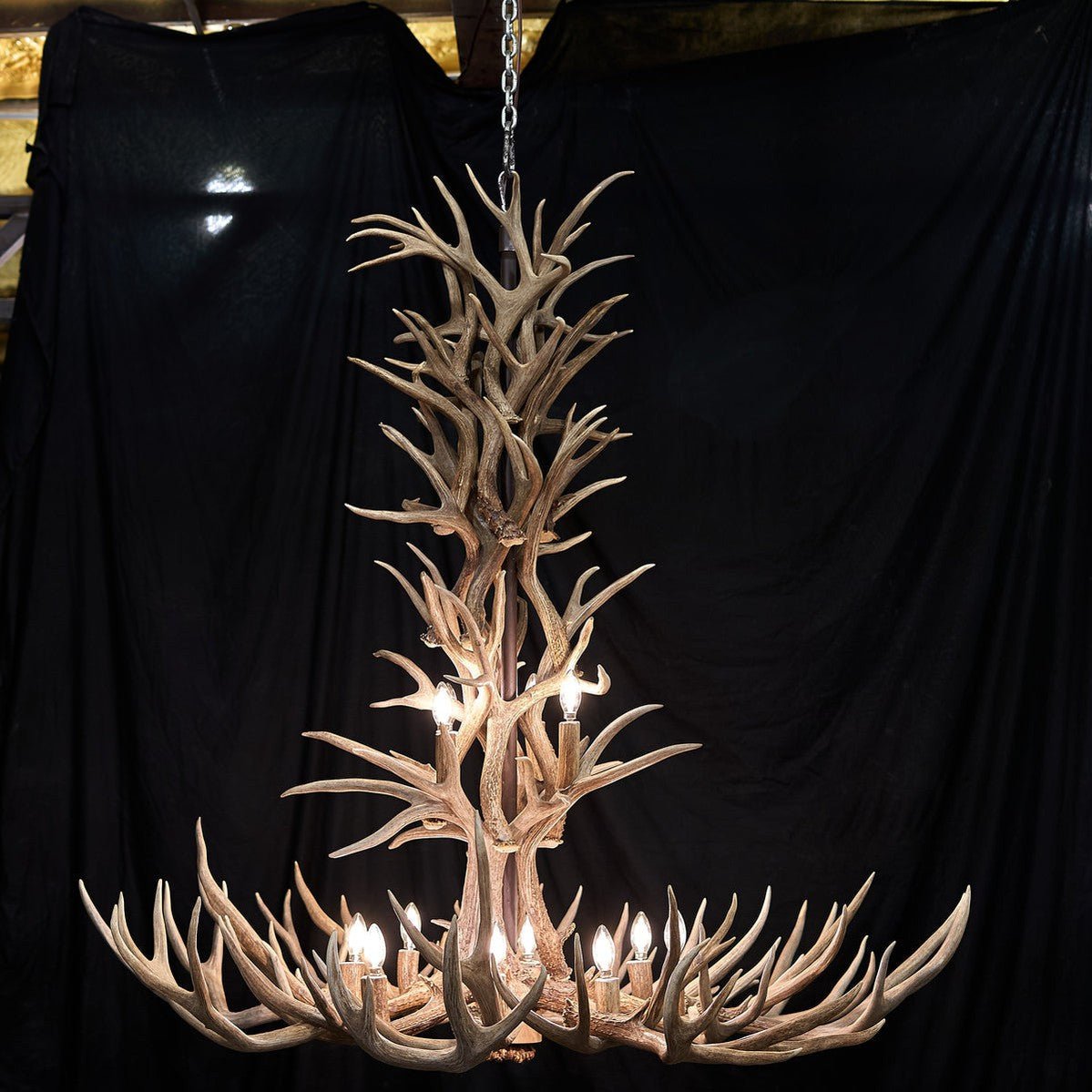 12 Light Reagan Tall Mule Deer Antler Chandelier 42"-Nobipets