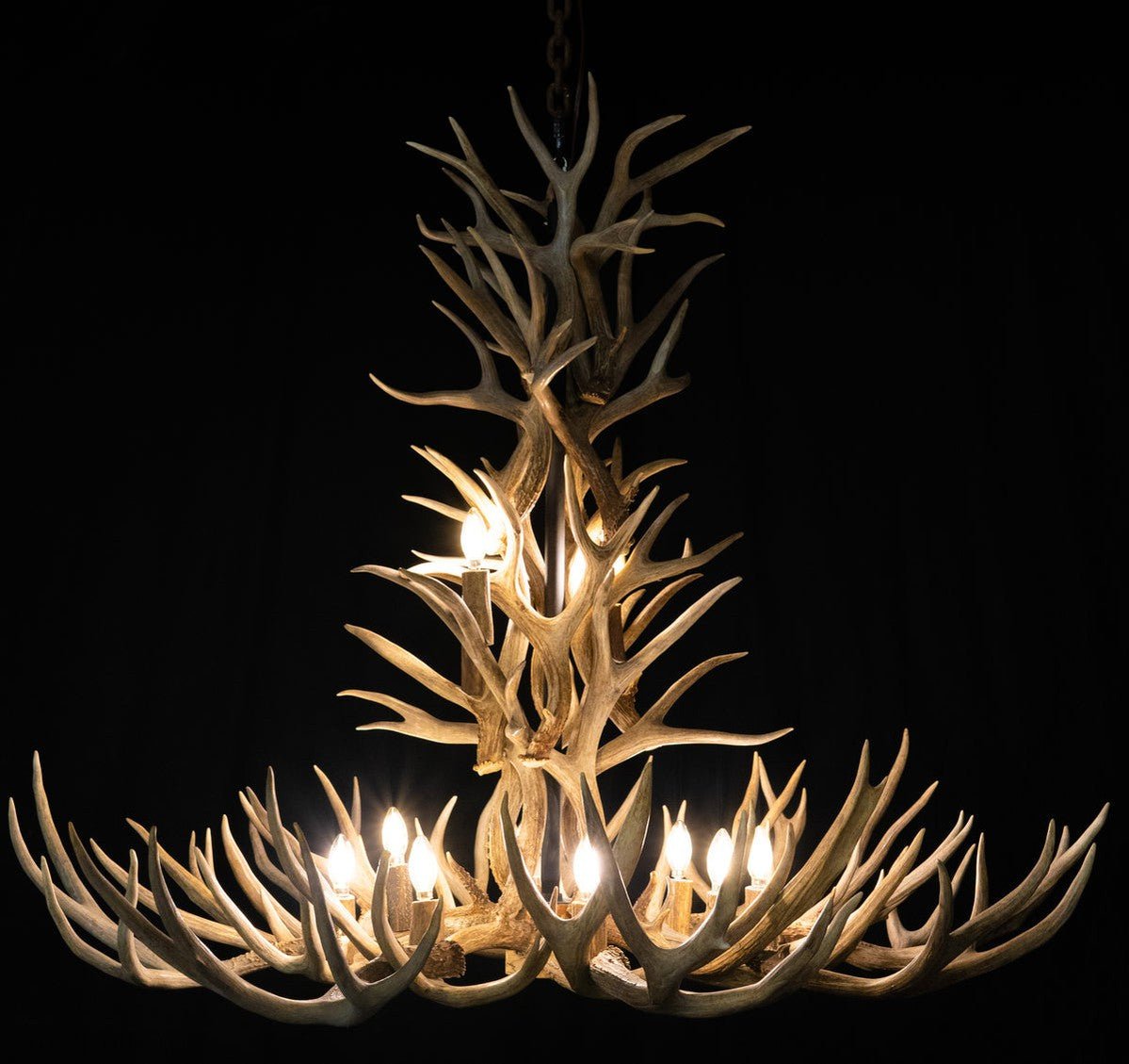 12 Light Reagan Tall Mule Deer Antler Chandelier 42"-Nobipets