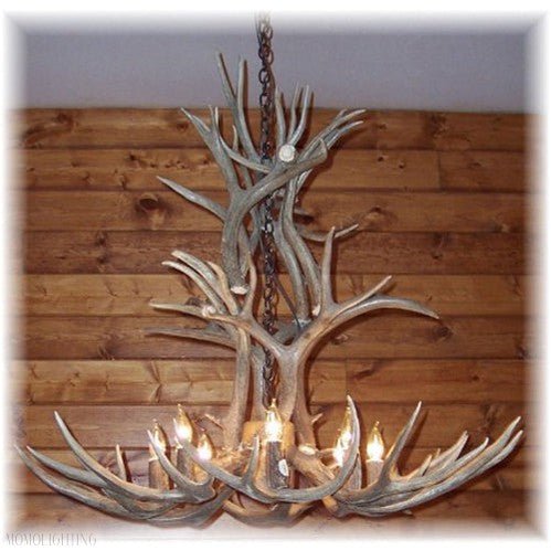 12 Light Reagan Tall Mule Deer Antler Chandelier 42"-Nobipets