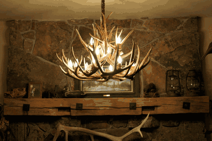 8 Light Reagan Tall Mule Deer Antler Chandelier 36"H-Nobipets