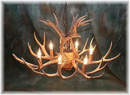 8 Light Reagan Tall Mule Deer Antler Chandelier 24"H-Nobipets