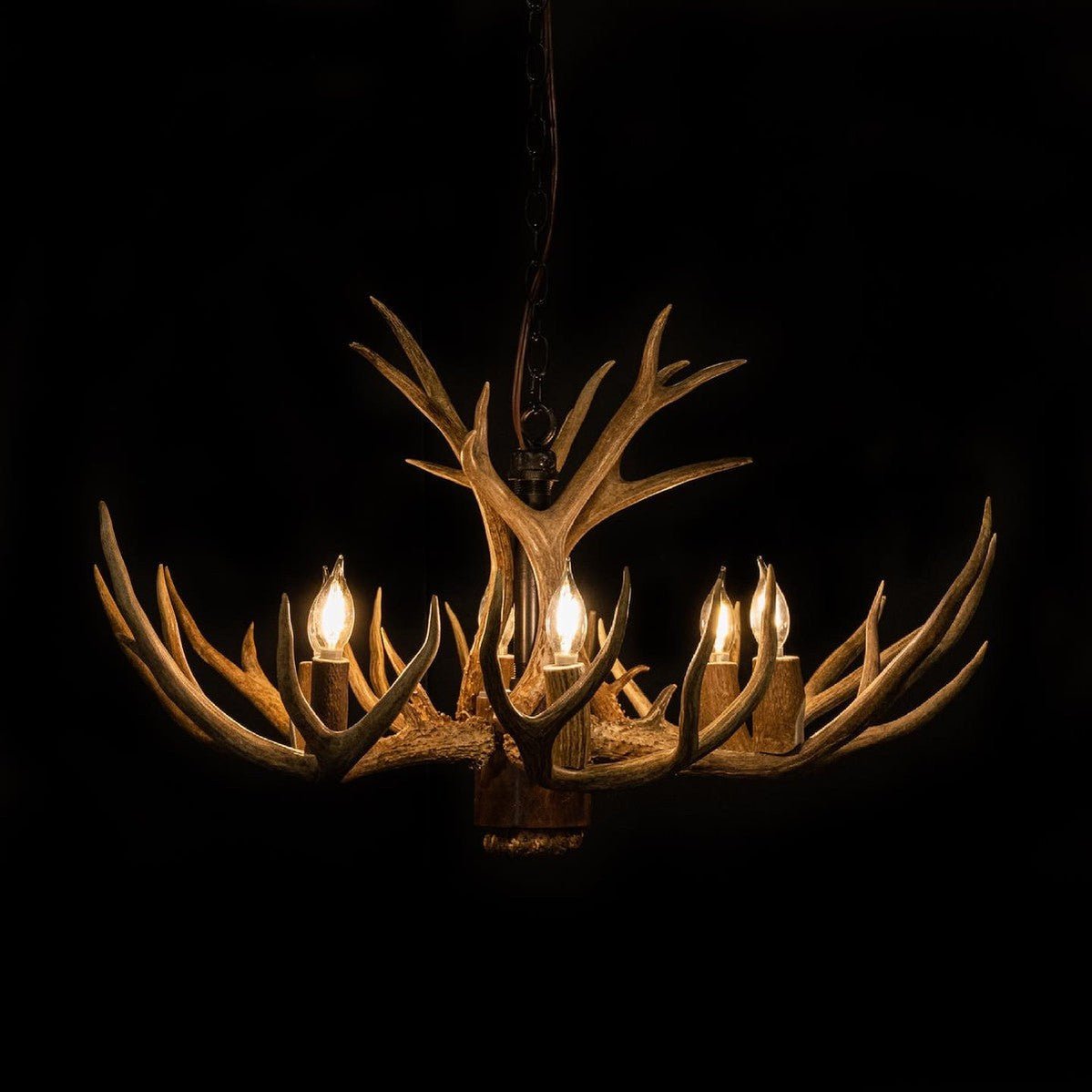 8 Light Reagan Tall Mule Deer Antler Chandelier 24"H-Nobipets