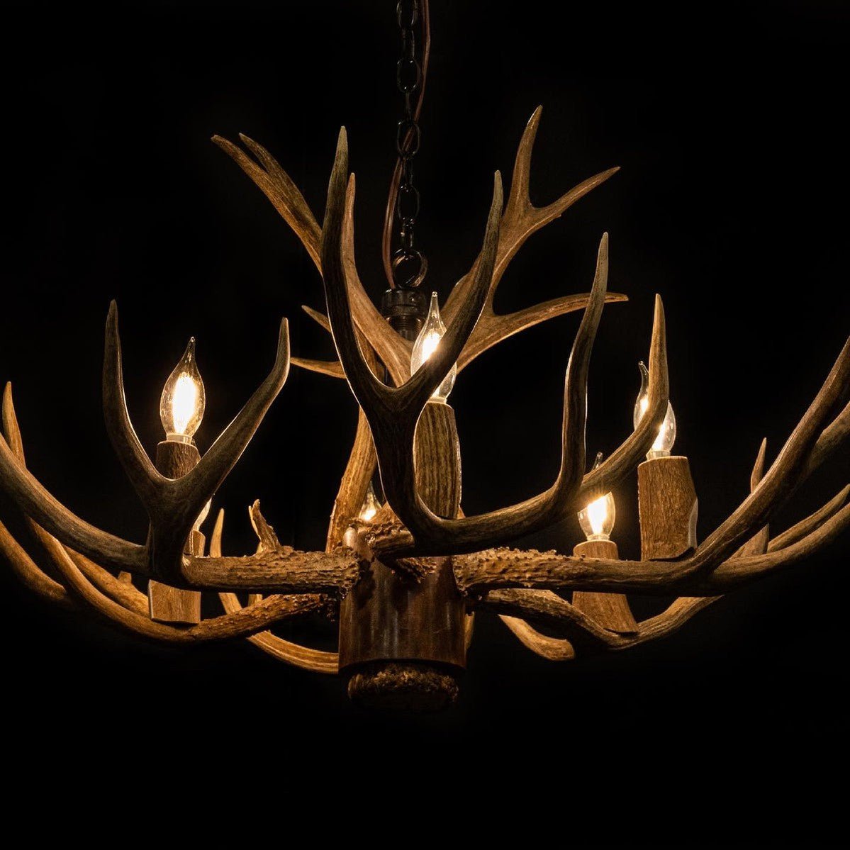 8 Light Reagan Tall Mule Deer Antler Chandelier 24"H-Nobipets