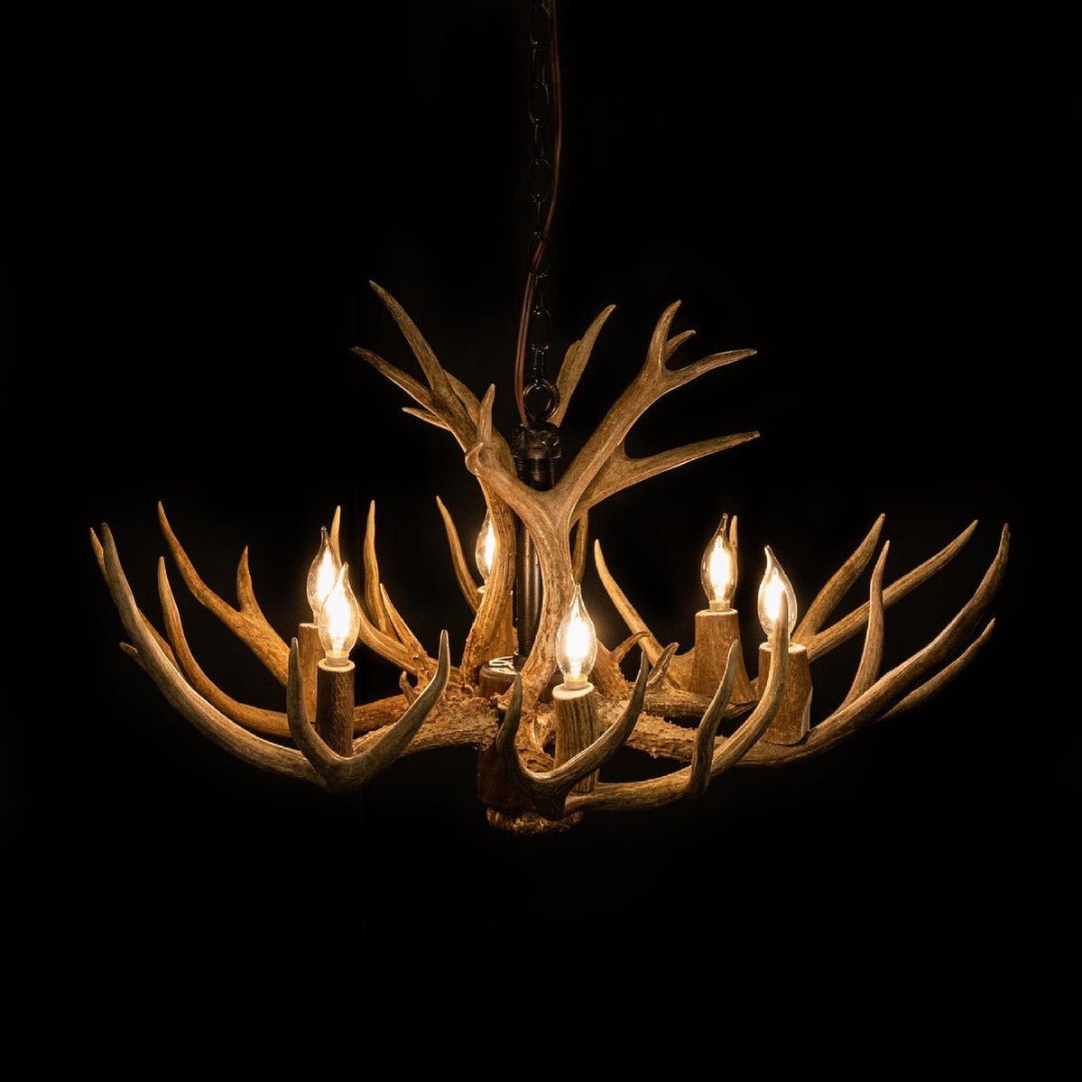 8 Light Reagan Tall Mule Deer Antler Chandelier 24"H-Nobipets