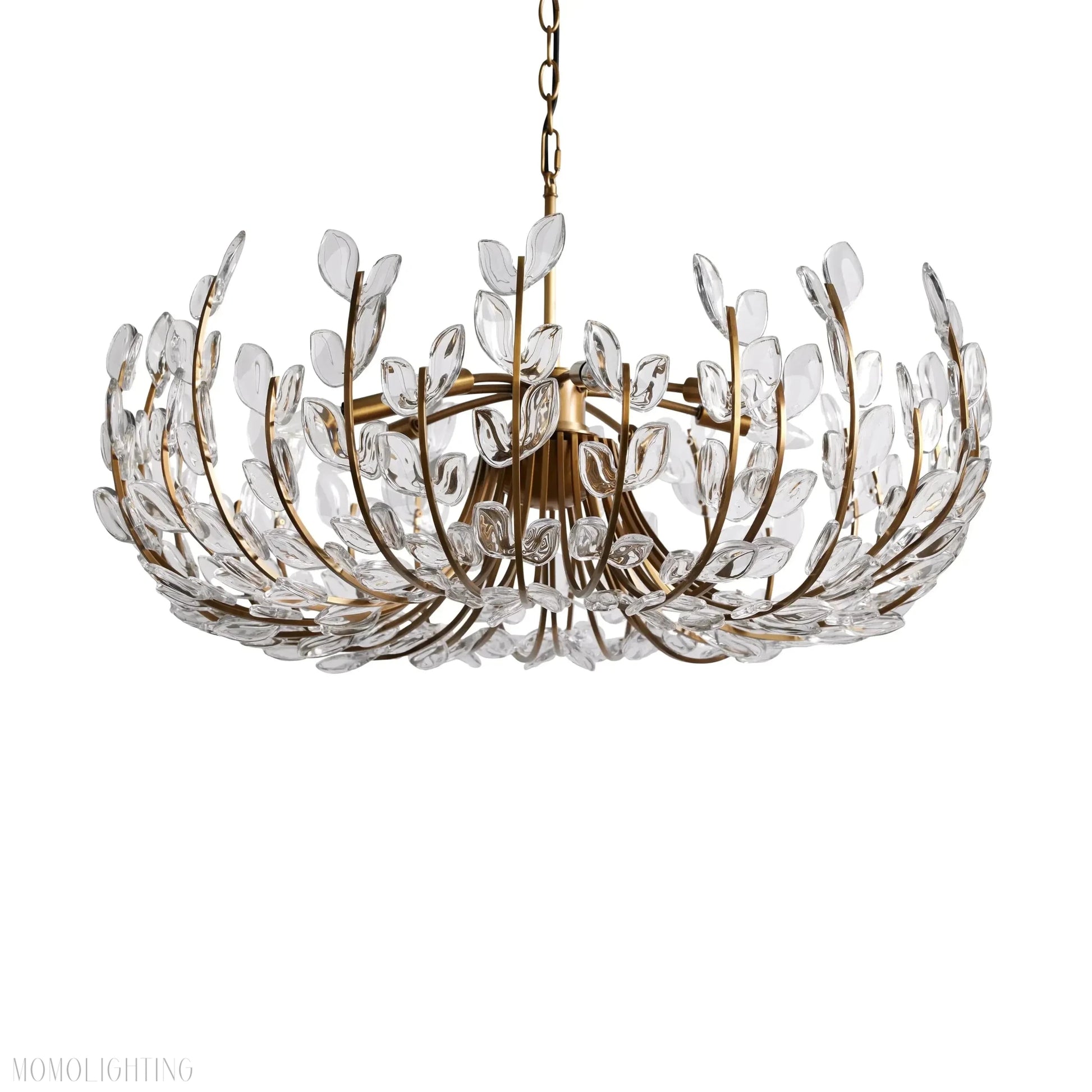Adela 6 Light Chandelier 26"-Nobipets