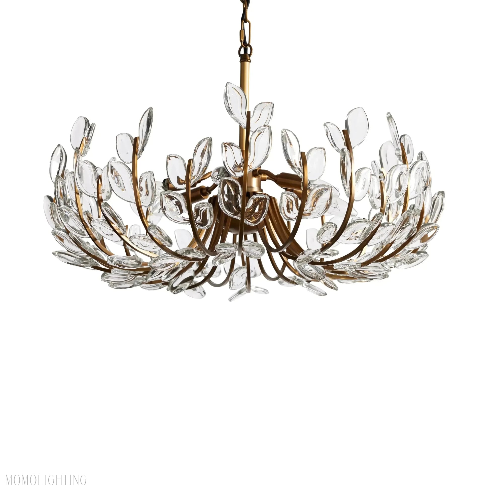 Adela 6 Light Chandelier 26"-Nobipets