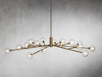 Sayre Round Clear Glass Globe Chandelier-Nobipets
